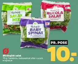 Netto Økologisk salat tilbud