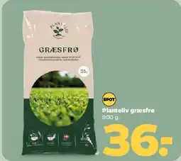 Netto Græsfrø tilbud