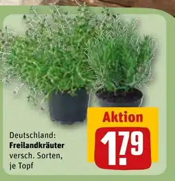 REWE DE Freilandkräuter tilbud