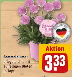 REWE DE Bommelblume tilbud