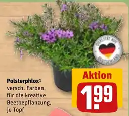 REWE DE Polsterphlox tilbud