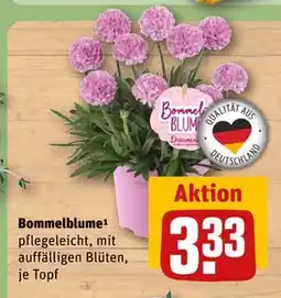 REWE DE Bommelblume¹, EUR 3.33 tilbud