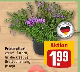 REWE DE Polsterphlox¹, EUR 1.99 tilbud