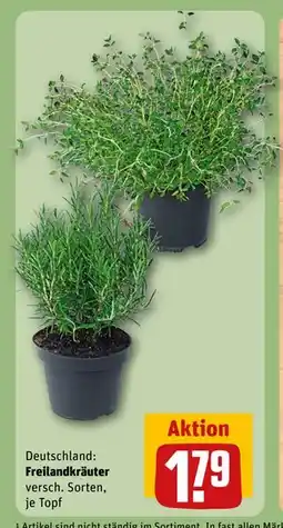 REWE DE Freilandkräuter, EUR 1.79 tilbud