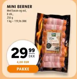 Scandinavian Park Mini berner tilbud