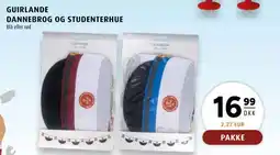 Scandinavian Park Guirlande Dannebrog og studenterhue tilbud