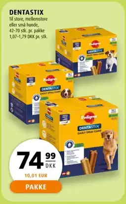 Scandinavian Park Pedigree Dentastix tilbud