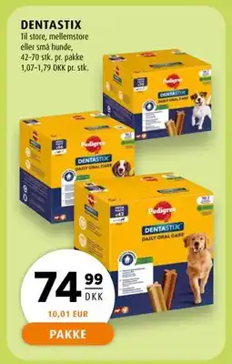 Scandinavian Park DENTASTIX tilbud