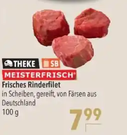 Citti Theke sb meisterfrisch frisches rinderfilet tilbud