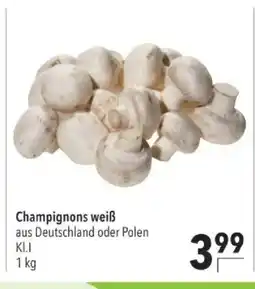 Citti Champignons weiß tilbud