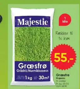 BigDollar Græsfrø Majestic tilbud
