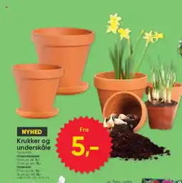 BigDollar NYHED Krukker og underskåle tilbud