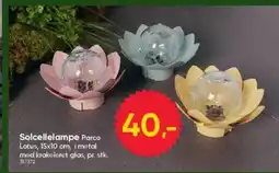 BigDollar Solcellelampe tilbud