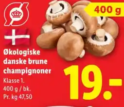 Lidl Økologiske danske brune champignoner tilbud