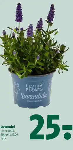 Coop 365 Lavendel tilbud