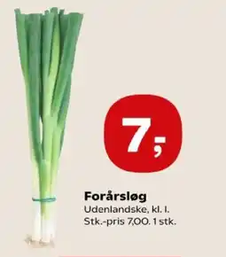 SuperBrugsen Forårsløg tilbud