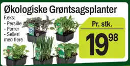 ABC Lavpris Økologiske Grøntsagsplanter tilbud