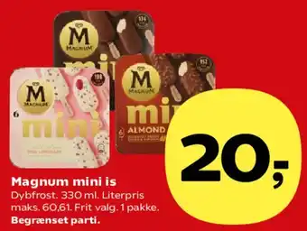 Magnum mini is