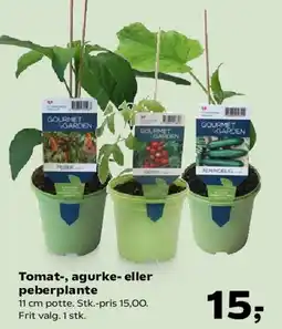 Kvickly Tomat-, agurke- eller peberplante tilbud