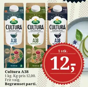 Cultura A38