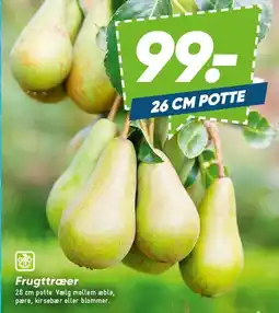 Bilka Frugttræer tilbud