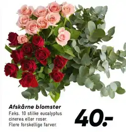 Bilka Afskårne blomster tilbud