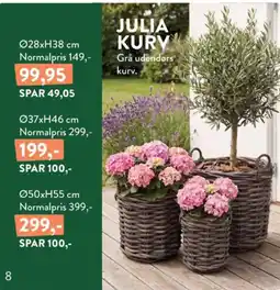 Plantorama Julia kurv tilbud
