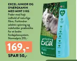 Plantorama Excel junior og dværgkanin med mint tilbud