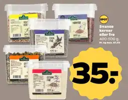 Netto Svansø kerner eller frø tilbud
