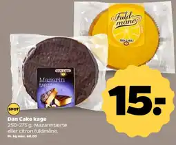 Netto Dan Cake kage tilbud