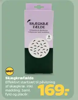 Netto Skægkræfælde tilbud