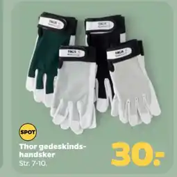 Netto Thor gedeskinds- handsker tilbud