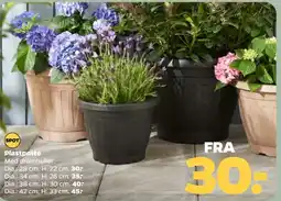 Netto Plastpotte tilbud