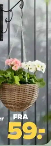 Netto Hængende urtepotteskjuler tilbud