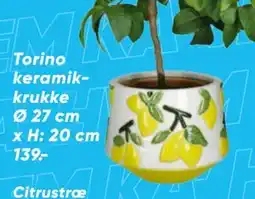 Bilka Torino keramik krukke tilbud