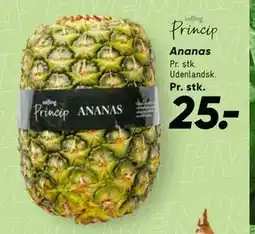 Bilka Ananas tilbud