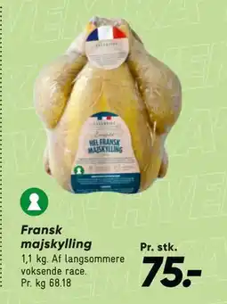 Bilka Fransk majskylling tilbud