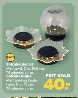 Netto Solcelle kugle tilbud