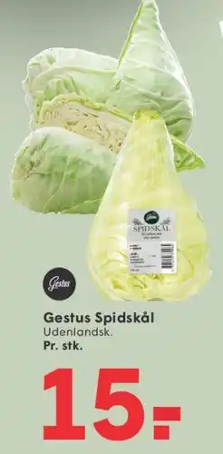 SPAR Gestus Spidskål tilbud