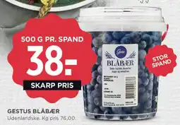 MENY Gestus blåbær tilbud
