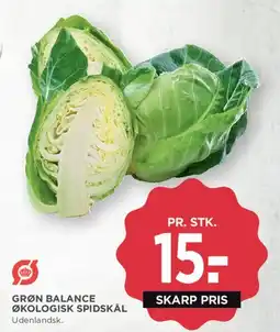MENY Grøn Balance økologisk spidskål tilbud