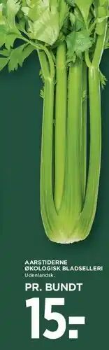 MENY Økologisk bladselleri tilbud