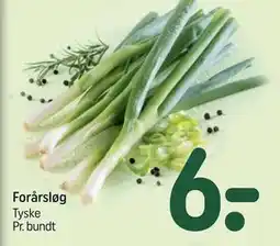 REMA 1000 Forårsløg tilbud
