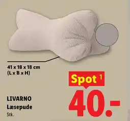 Lidl LIVARNO Læsepude tilbud