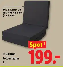 Lidl LIVARNO Foldemadras tilbud