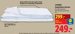 Lidl LIVARNO Sommerdyne med dun tilbud