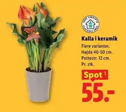 Lidl Kalla i keramik tilbud