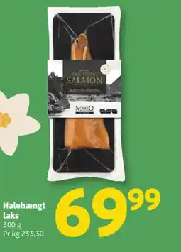 Løvbjerg Halehængt laks tilbud
