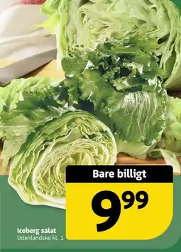 Løvbjerg Iceberg salat tilbud