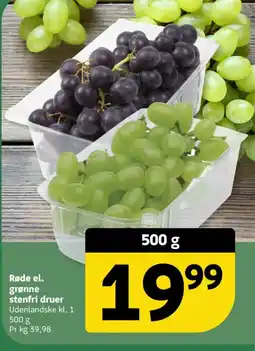 Løvbjerg Røde el. grønne stenfri druer tilbud